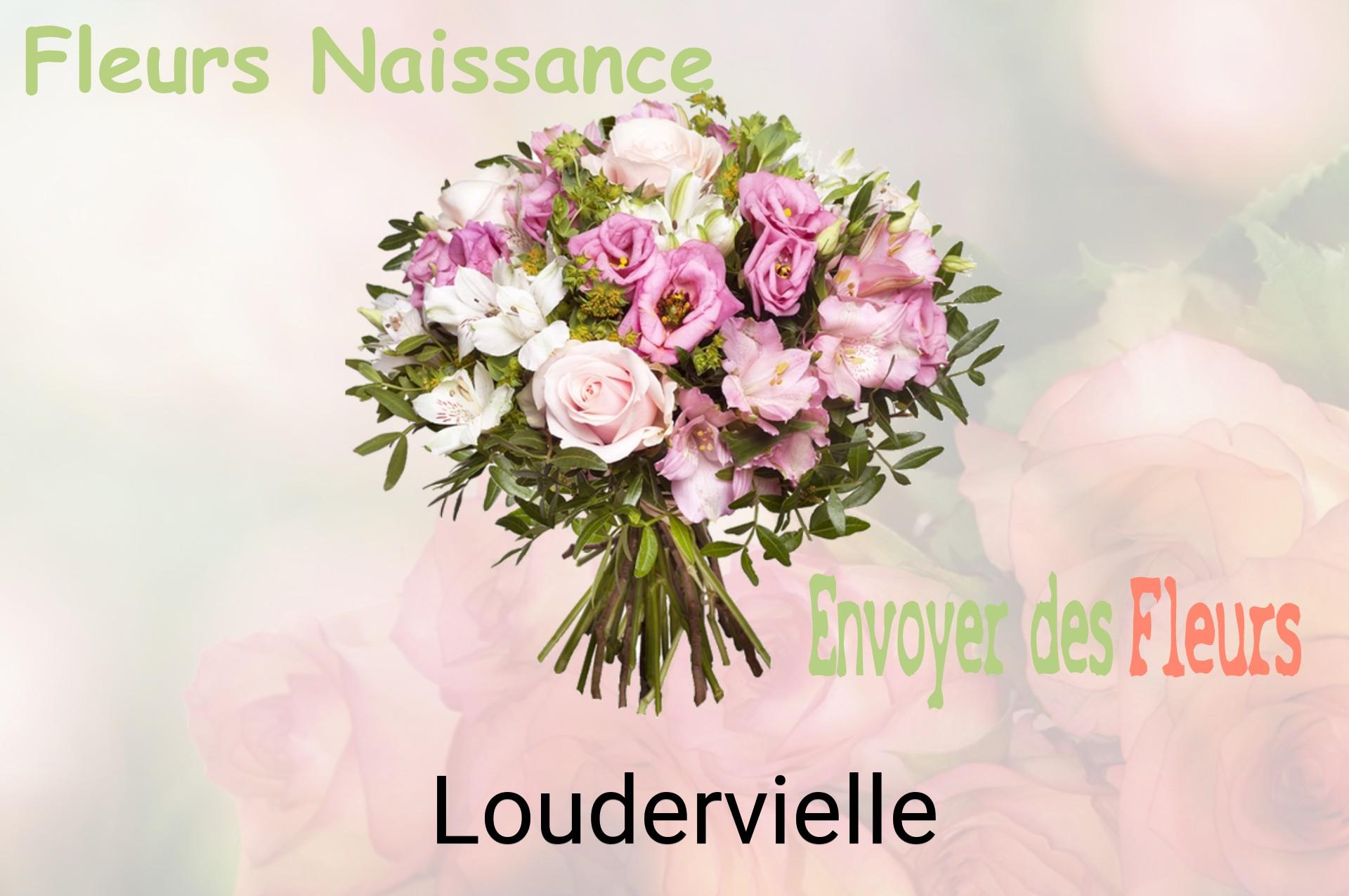 Bouquet de fleurs de naissance livré à Loudervielle